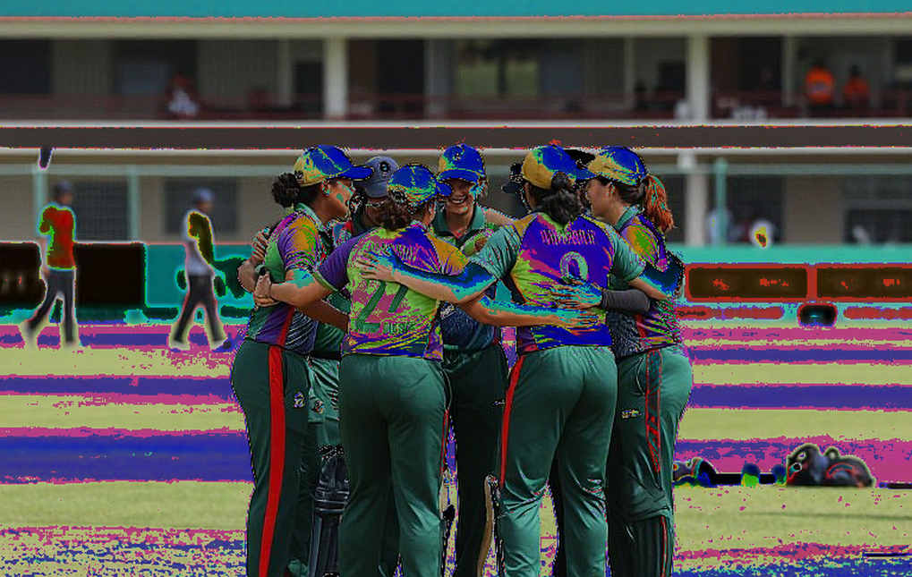 যে ব্লকে কোনো ম্যাচ নেই: ক্রিকেট, ব্লকচেইন আর শূন্য বিশ্লেষণের নীরব অর্থনীতি