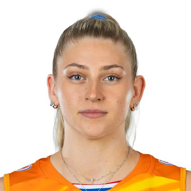 এলেস দাম্ব্রিংক